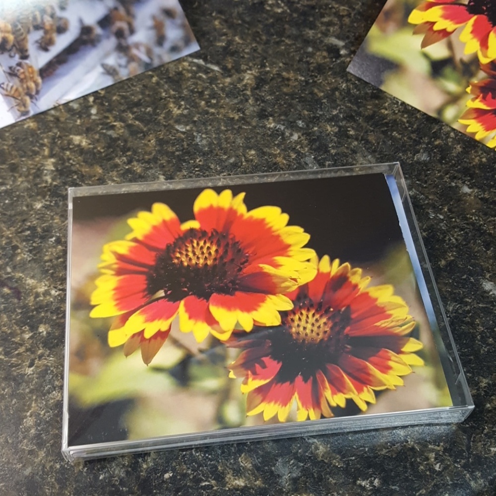 Perfect hostess gift! Note Cards w/envelopes!